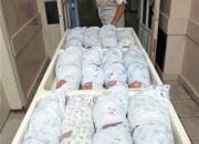 nurse-pulls-babies-on-a-trolley-in-a-maternity-ward