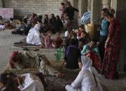 displaced-families-from-iraq-minority-yazidi