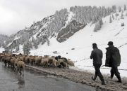 herders-in-chinas-xinjiang-province