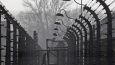 auschwitz-concentration-camp